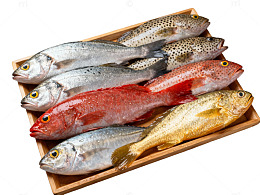 新鲜鱼群摆盘特写