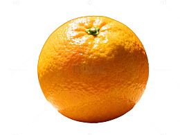 阳光橙子特写