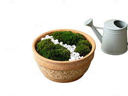苔藓盆栽与水壶