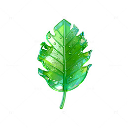 透明绿叶露珠艺术插图
