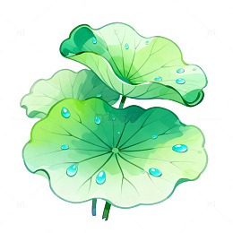 荷叶水滴卡通插画