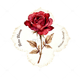 复古玫瑰插画设计素材