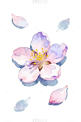 水彩花卉浪漫插画