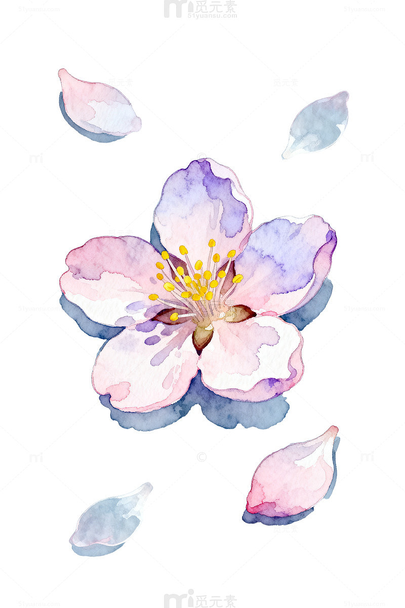 水彩花卉浪漫插画