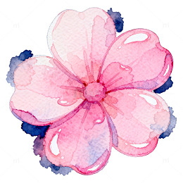 水彩花朵装饰画