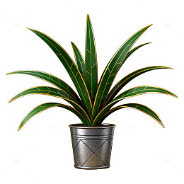 简约风绿植盆栽摄影图片