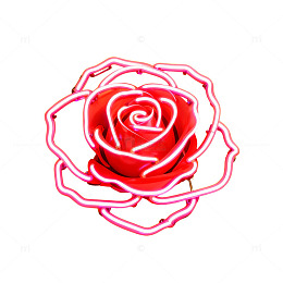 霓虹玫瑰装饰艺术效果