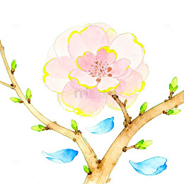 水彩花卉树枝插画
