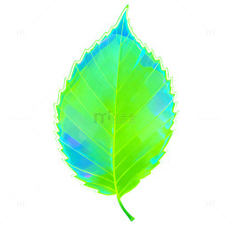 梦幻绿叶艺术效果图片