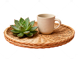 简约田园风绿植与陶瓷杯静物摄影