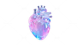 科技风心脏模型三维渲染图
