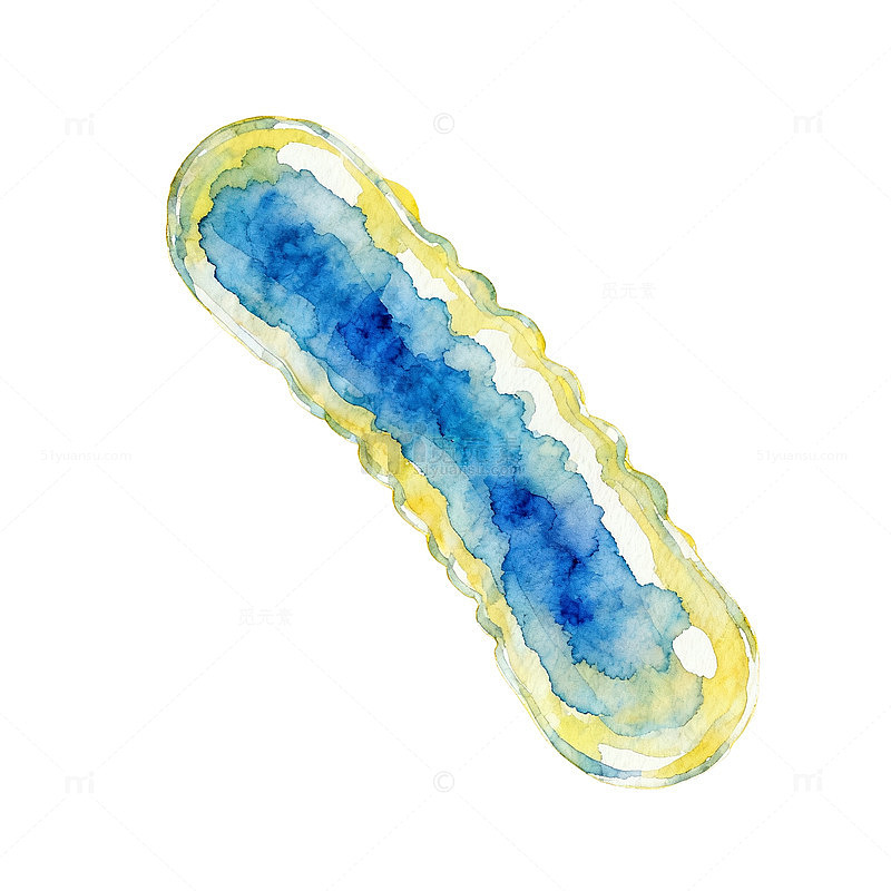 水彩细菌插画图案