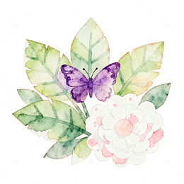 水彩花卉蝴蝶图案设计素材
