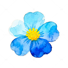 水彩蓝花橙色背景