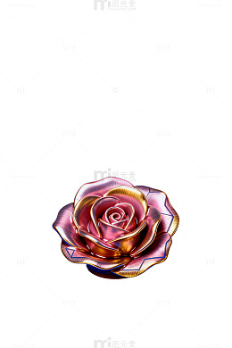 华丽玫瑰装饰插画设计素材