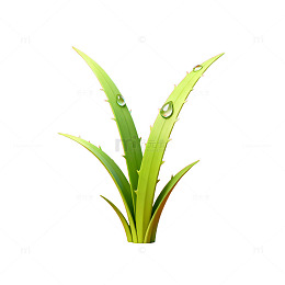 AI生成绿植特写