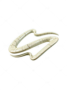 白色蠕虫状生物特写摄影