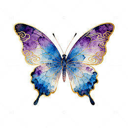 蝴蝶艺术装饰画