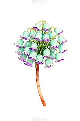 水彩风铃花插画