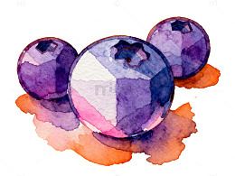 水彩蓝莓水果画