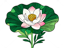 插画风格荷花图案设计素材