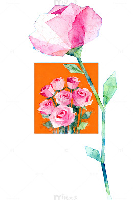 水彩玫瑰艺术插画