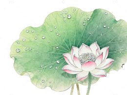 水墨荷花国画装饰画素材