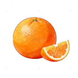 鲜艳橙子写实插画