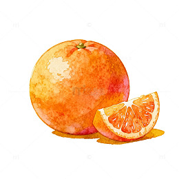 水彩橙子水果插画