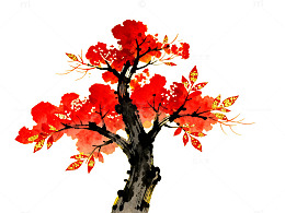 水墨红叶树中国画风格