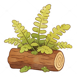 卡通植物原木插画