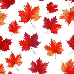 枫树叶秋日背景设计素材
