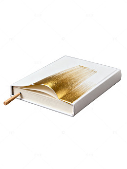 简约风书籍金页设计