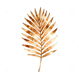 水彩羽毛清新装饰艺术插画