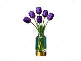 紫色郁金香透明花瓶摄影