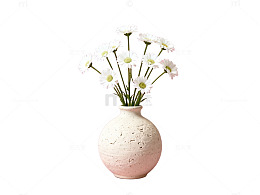 简约花瓶花卉摄影