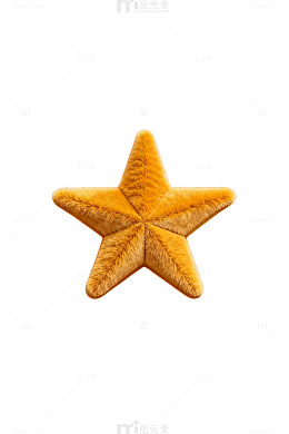 橙色背景海星摄影