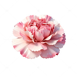 牡丹盛开盘子艺术图