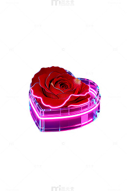 霓虹灯心形玫瑰盒艺术照