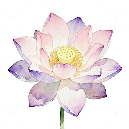 AI水彩荷花装饰画
