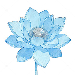 AI生成蓝色荷花艺术插画