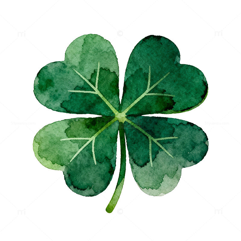 水彩三叶草幸运草插画
