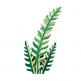 绿色剪纸蕨类植物装饰图案