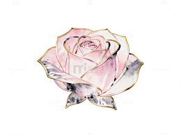 蓝色背景粉色玫瑰插画