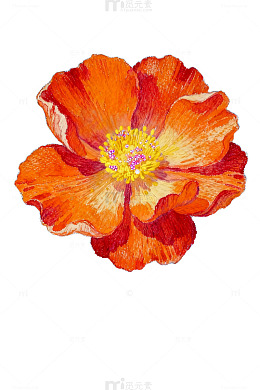 水彩花朵装饰画