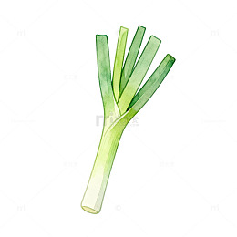 水彩大葱食材插画