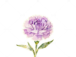 水彩紫花黄花背景装饰画