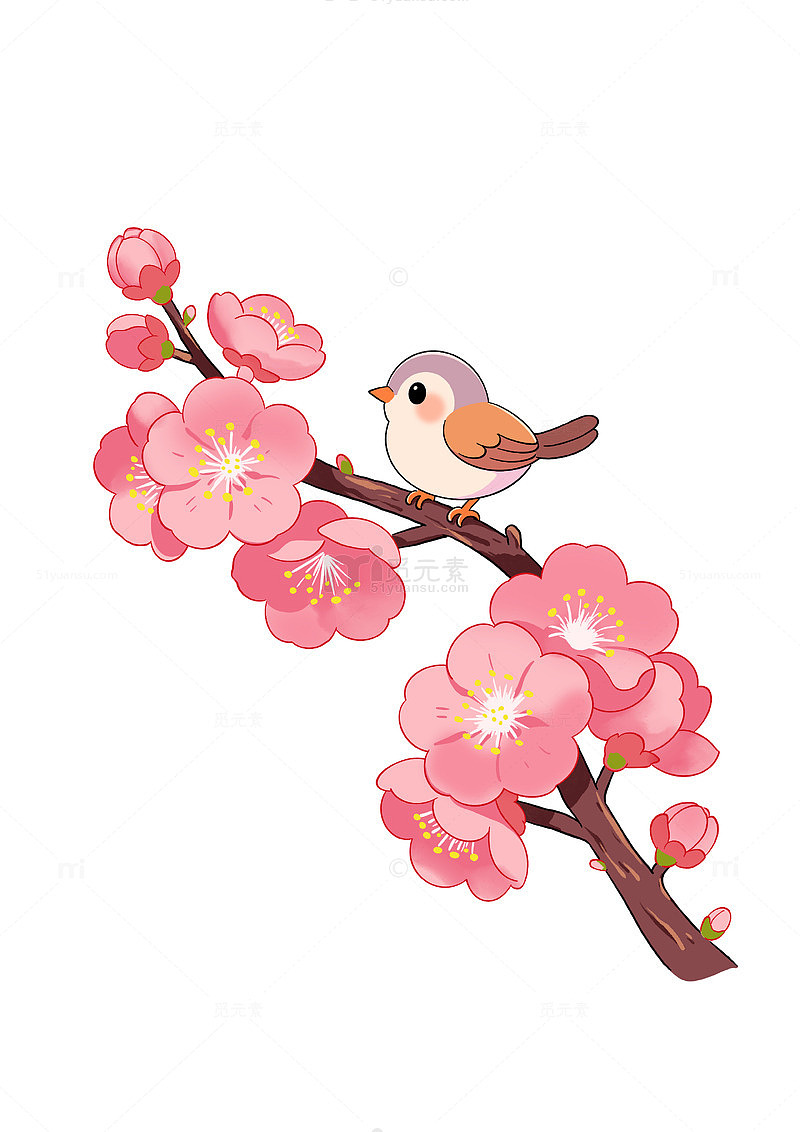 春天桃花鲜花樱花小鸟插画