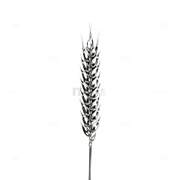 金属质感小麦穗艺术图