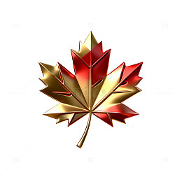 金属枫叶装饰图案设计元素
